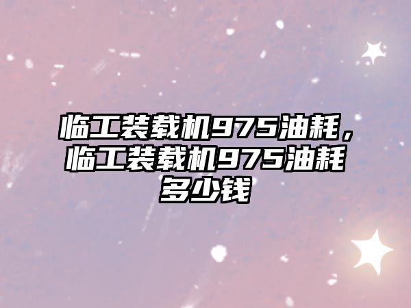 臨工裝載機975油耗，臨工裝載機975油耗多少錢