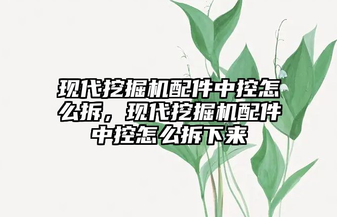 現(xiàn)代挖掘機配件中控怎么拆，現(xiàn)代挖掘機配件中控怎么拆下來