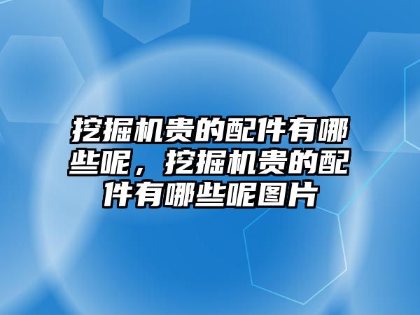 挖掘機貴的配件有哪些呢，挖掘機貴的配件有哪些呢圖片