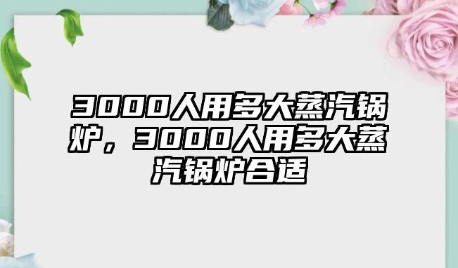 3000人用多大蒸汽鍋爐，3000人用多大蒸汽鍋爐合適