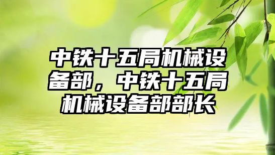 中鐵十五局機械設備部，中鐵十五局機械設備部部長