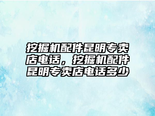 挖掘機配件昆明專賣店電話，挖掘機配件昆明專賣店電話多少