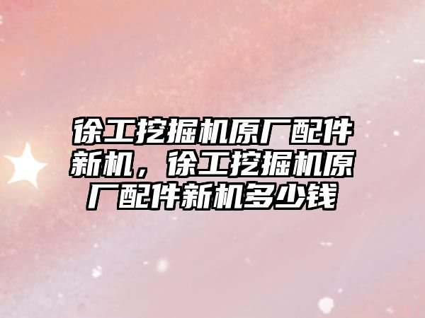 徐工挖掘機原廠配件新機，徐工挖掘機原廠配件新機多少錢