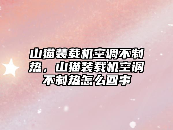 山貓裝載機(jī)空調(diào)不制熱，山貓裝載機(jī)空調(diào)不制熱怎么回事