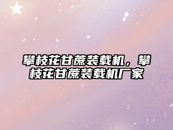 攀枝花甘蔗裝載機，攀枝花甘蔗裝載機廠家