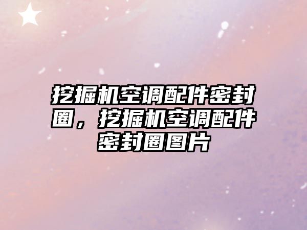 挖掘機(jī)空調(diào)配件密封圈，挖掘機(jī)空調(diào)配件密封圈圖片