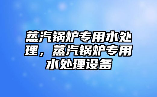 蒸汽鍋爐專用水處理，蒸汽鍋爐專用水處理設備