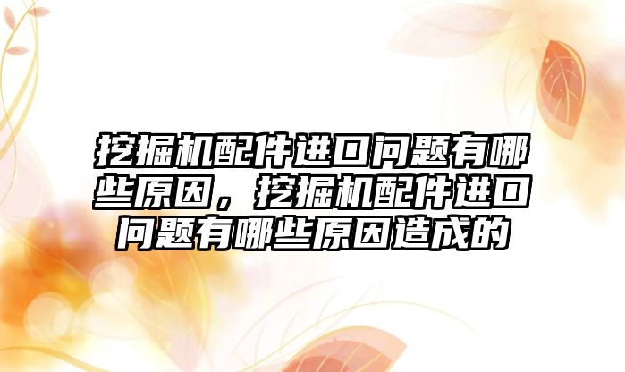 挖掘機配件進口問題有哪些原因，挖掘機配件進口問題有哪些原因造成的