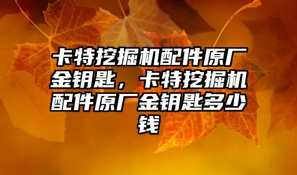 卡特挖掘機配件原廠金鑰匙，卡特挖掘機配件原廠金鑰匙多少錢