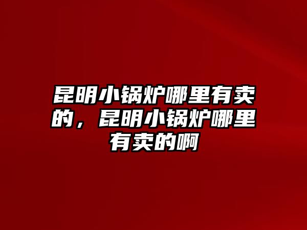 昆明小鍋爐哪里有賣的，昆明小鍋爐哪里有賣的啊