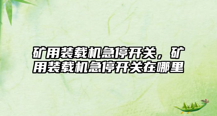 礦用裝載機急停開關，礦用裝載機急停開關在哪里