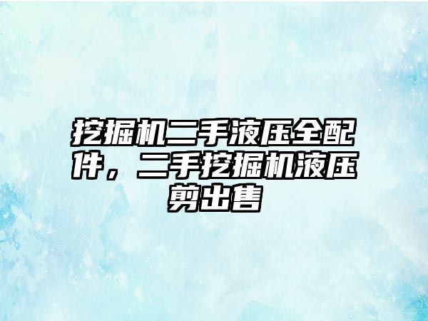 挖掘機二手液壓全配件，二手挖掘機液壓剪出售