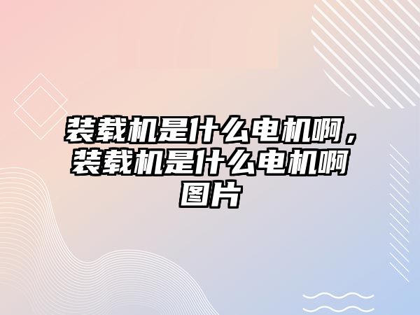 裝載機是什么電機啊，裝載機是什么電機啊圖片