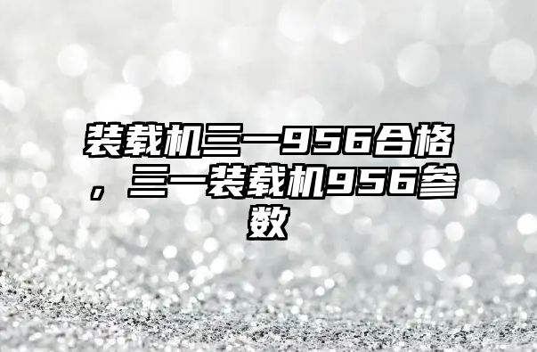 裝載機三一956合格佂，三一裝載機956參數