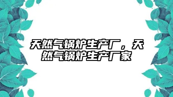 天然氣鍋爐生產廠，天然氣鍋爐生產廠家