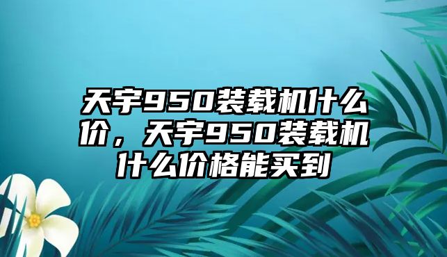 天宇950裝載機什么價，天宇950裝載機什么價格能買到