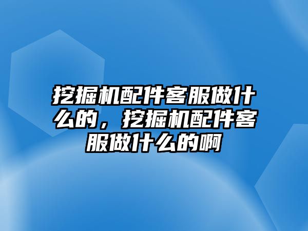 挖掘機配件客服做什么的，挖掘機配件客服做什么的啊