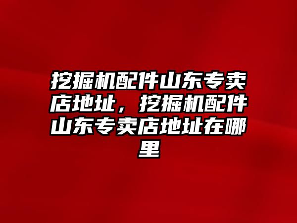 挖掘機配件山東專賣店地址，挖掘機配件山東專賣店地址在哪里