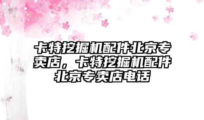 卡特挖掘機配件北京專賣店，卡特挖掘機配件北京專賣店電話