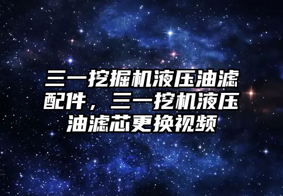 三一挖掘機液壓油濾配件，三一挖機液壓油濾芯更換視頻