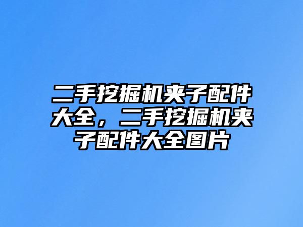 二手挖掘機夾子配件大全，二手挖掘機夾子配件大全圖片