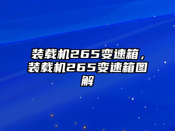 裝載機265變速箱，裝載機265變速箱圖解