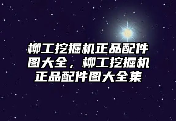 柳工挖掘機正品配件圖大全，柳工挖掘機正品配件圖大全集