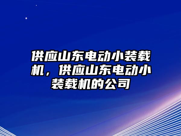 供應(yīng)山東電動小裝載機，供應(yīng)山東電動小裝載機的公司