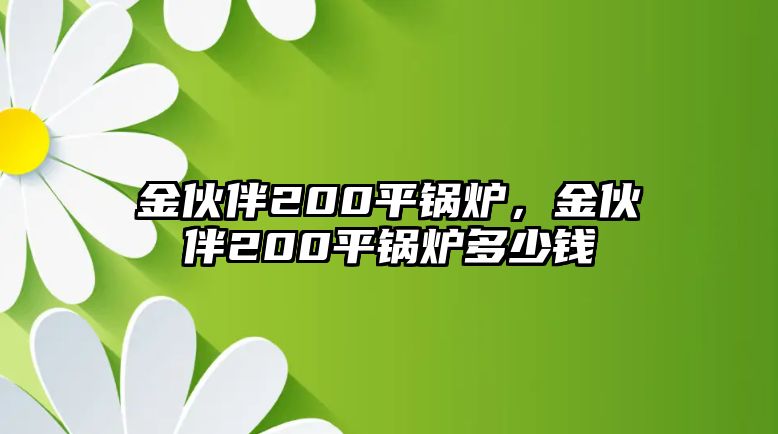 金伙伴200平鍋爐，金伙伴200平鍋爐多少錢(qián)