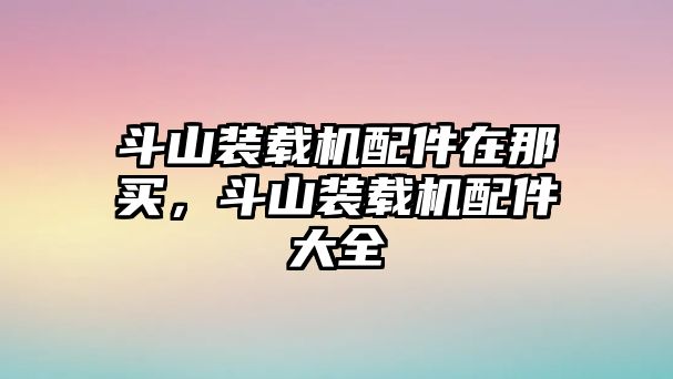 斗山裝載機配件在那買，斗山裝載機配件大全