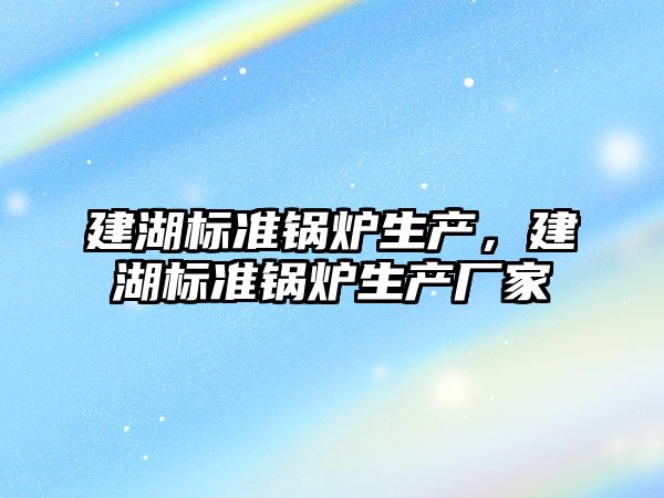 建湖標準鍋爐生產，建湖標準鍋爐生產廠家