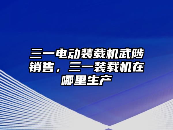 三一電動裝載機武陟銷售，三一裝載機在哪里生產(chǎn)