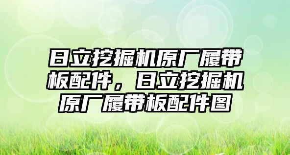 日立挖掘機原廠履帶板配件，日立挖掘機原廠履帶板配件圖