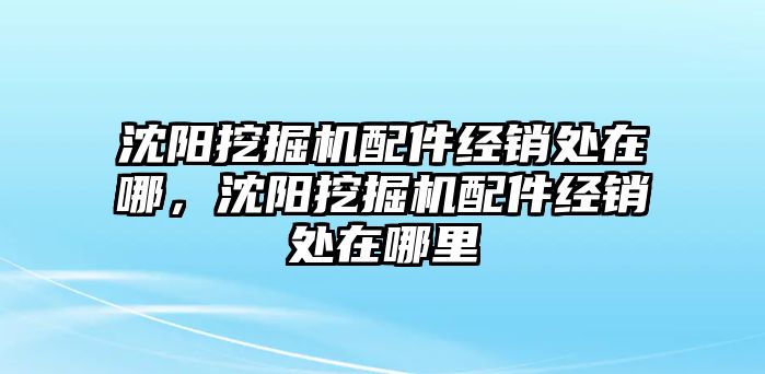 沈陽挖掘機配件經銷處在哪，沈陽挖掘機配件經銷處在哪里