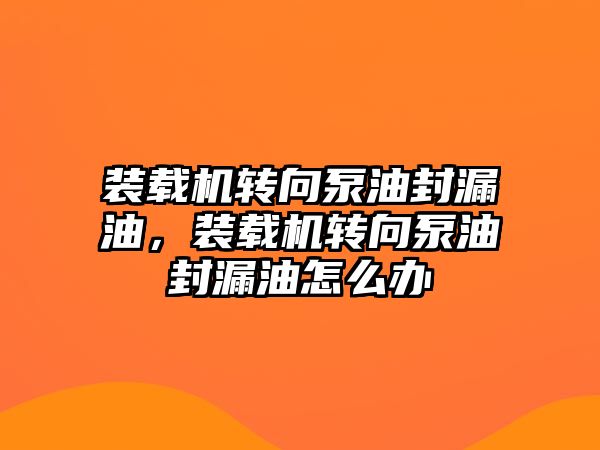 裝載機轉向泵油封漏油，裝載機轉向泵油封漏油怎么辦