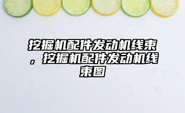 挖掘機配件發動機線束，挖掘機配件發動機線束圖