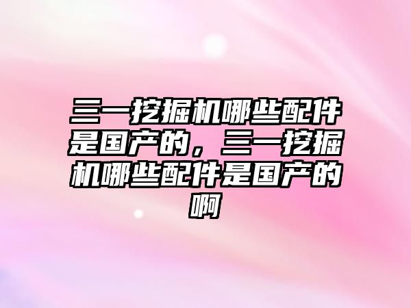 三一挖掘機哪些配件是國產的，三一挖掘機哪些配件是國產的啊