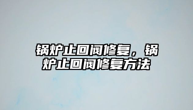 鍋爐止回閥修復，鍋爐止回閥修復方法