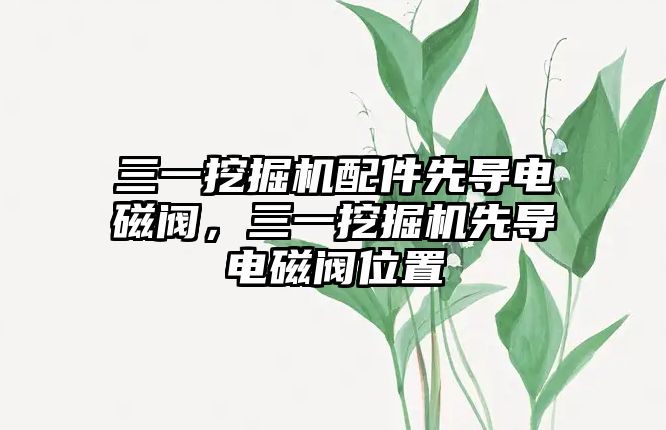 三一挖掘機配件先導電磁閥，三一挖掘機先導電磁閥位置