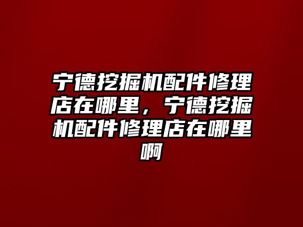 寧德挖掘機配件修理店在哪里，寧德挖掘機配件修理店在哪里啊