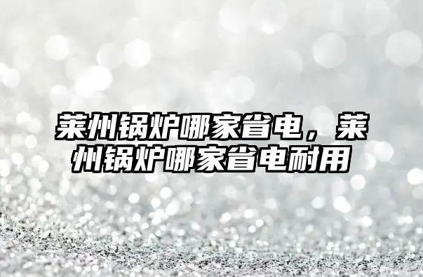 萊州鍋爐哪家省電，萊州鍋爐哪家省電耐用