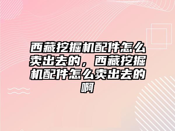 西藏挖掘機配件怎么賣出去的，西藏挖掘機配件怎么賣出去的啊