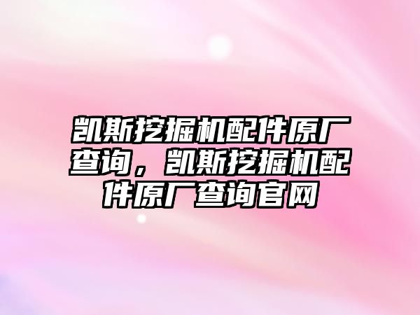 凱斯挖掘機配件原廠查詢，凱斯挖掘機配件原廠查詢官網(wǎng)