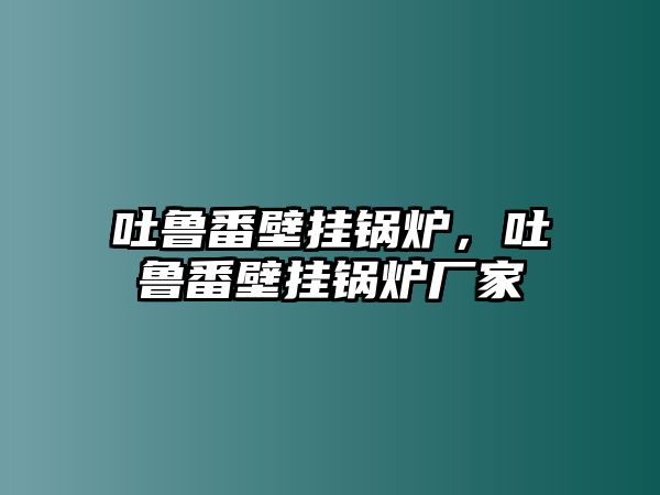 吐魯番壁掛鍋爐，吐魯番壁掛鍋爐廠家