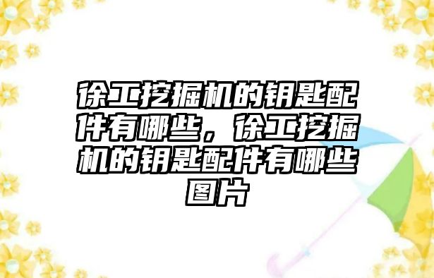 徐工挖掘機的鑰匙配件有哪些，徐工挖掘機的鑰匙配件有哪些圖片