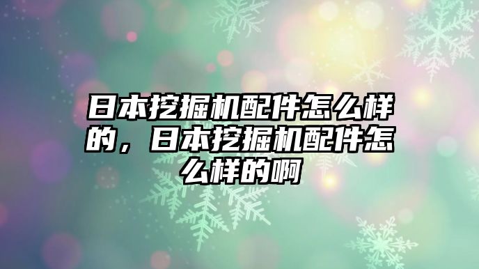 日本挖掘機(jī)配件怎么樣的，日本挖掘機(jī)配件怎么樣的啊