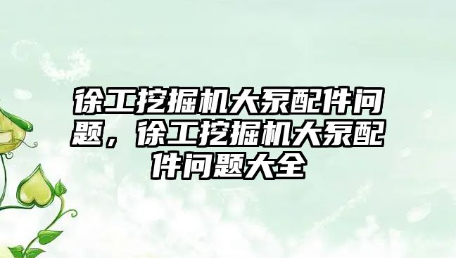 徐工挖掘機大泵配件問題，徐工挖掘機大泵配件問題大全