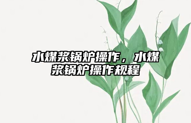 水煤漿鍋爐操作，水煤漿鍋爐操作規(guī)程