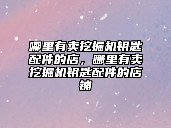 哪里有賣挖掘機鑰匙配件的店，哪里有賣挖掘機鑰匙配件的店鋪