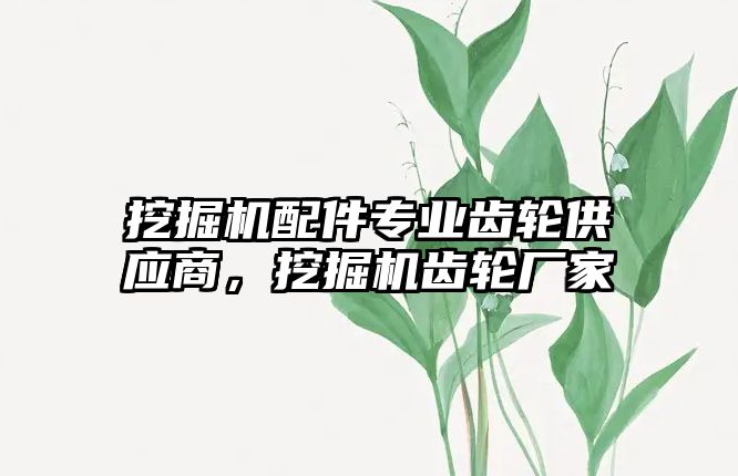 挖掘機配件專業齒輪供應商，挖掘機齒輪廠家